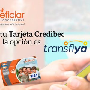 Proceso para Transferir Dinero