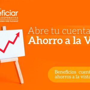 Ahorro a la Vista
