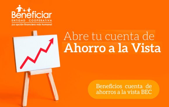 Ahorro a la Vista