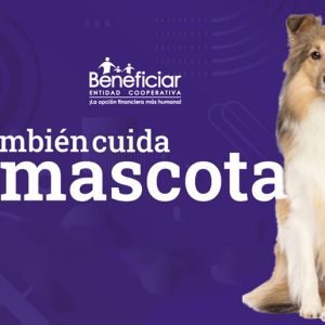 Beneficiar También Cuida tu Mascota