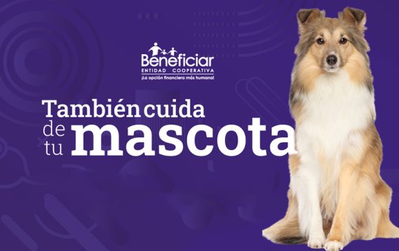 Beneficiar También Cuida tu Mascota