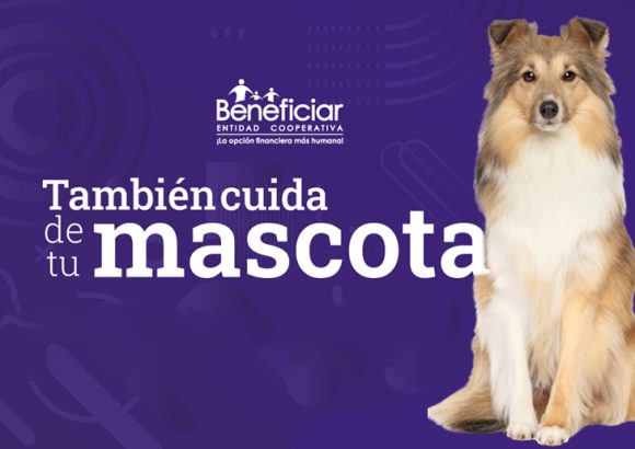 Beneficiar También Cuida tu Mascota